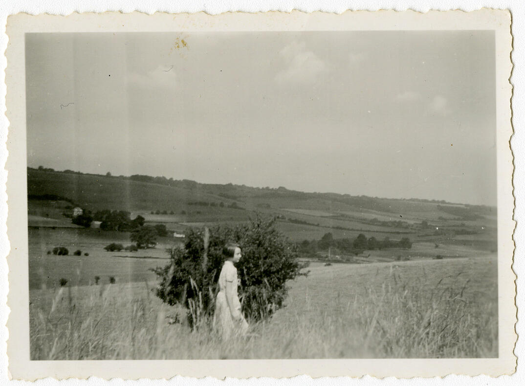 © Sean Hepburn Ferrer and Luca Dotti.